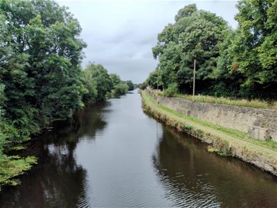 Picture 17